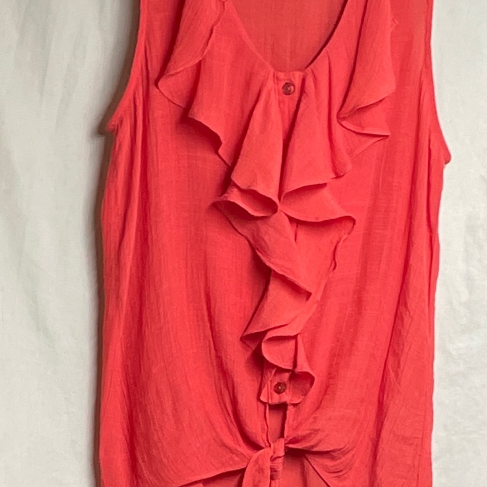 By and By Sheer ruffled button up top size small